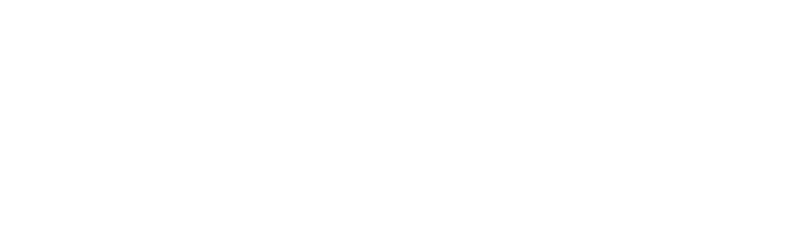 Zetexnetwork